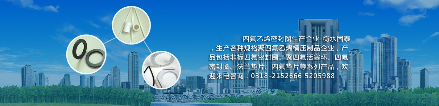 衡水固泰密封制品有限公司